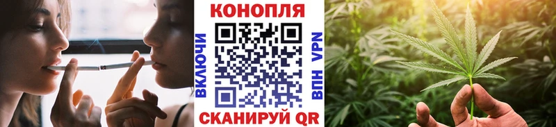 где купить   Кувандык  Бошки Шишки тримм 